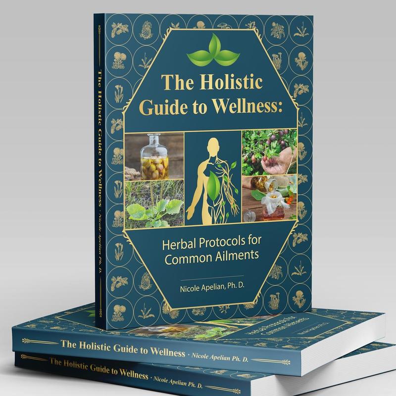 The Holistic Guide To Wellness